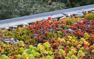 the cost of Treesmill green roof installation