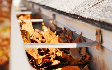 Treesmill gutter cleaning companies